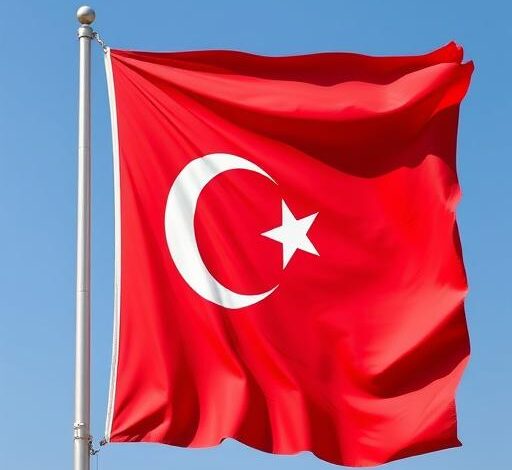 Erdoğan Mobilizes State Agencies to Combat Illegal Online Gambling Across Turkey