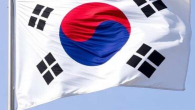 Ahead of the World Cup, South Korea Targets Over 1,280 Unlicensed Betting Platforms