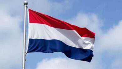 Dutch Gambling Association Sues Meta Over Escalating Illegal Betting Promotions