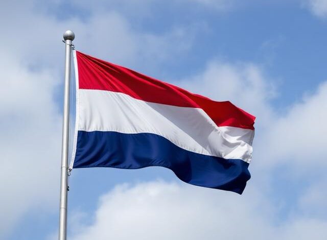 Dutch Gambling Association Sues Meta Over Escalating Illegal Betting Promotions